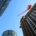 urban development 1